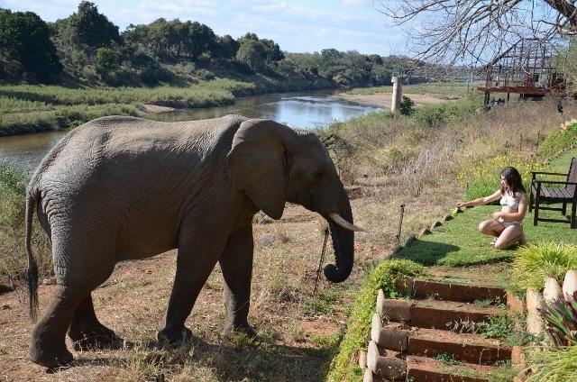 Khandizwe Kruger Villa Malalane Quarto foto